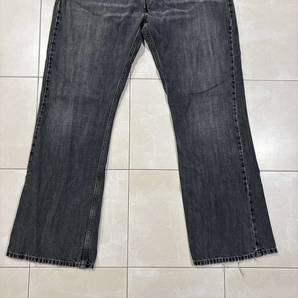 Levis levis 527